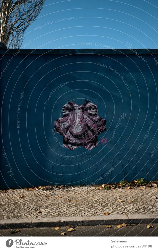 coming out Human being Masculine Face 1 Wall (barrier) Wall (building) Facade Graffiti Observe Colour photo Exterior shot Deserted