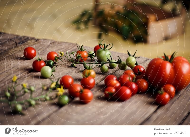 homegrown Food Vegetable Nutrition Organic produce Vegetarian diet Slow food Fresh Healthy Tomato Harvest Wooden box Wooden table Cocktail tomato