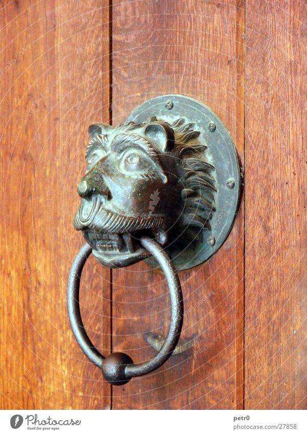 watchdog Wood Entrance Bronze Lion Patina Knob Doorknob Obscure Gate door ring Knocker Detail Section of image Front door Wooden door Decoration Animal figure