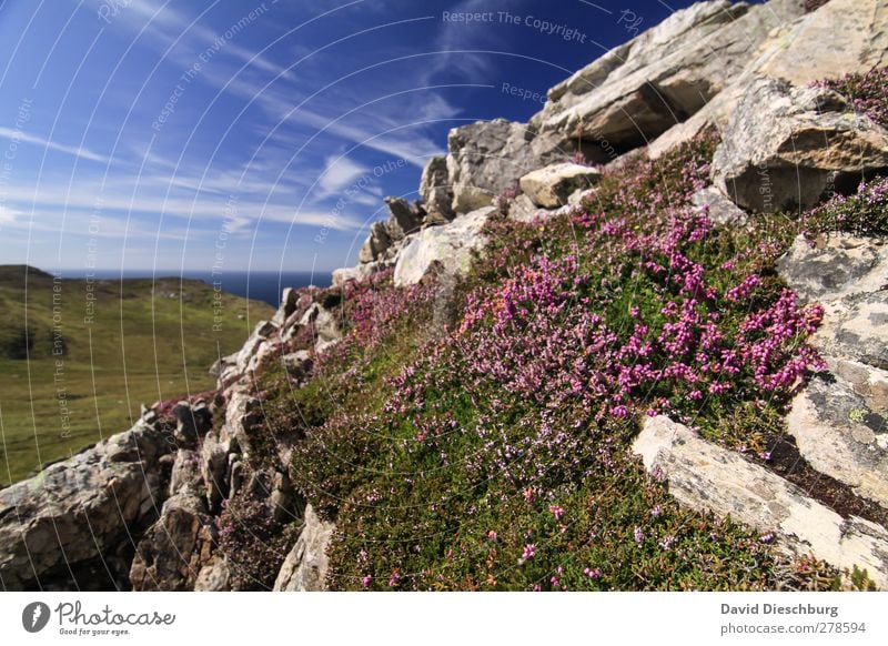 Lonely mountain world Vacation & Travel Summer vacation Mountain Nature Landscape Plant Sky Clouds Beautiful weather Flower Grass Moss Foliage plant Hill Rock