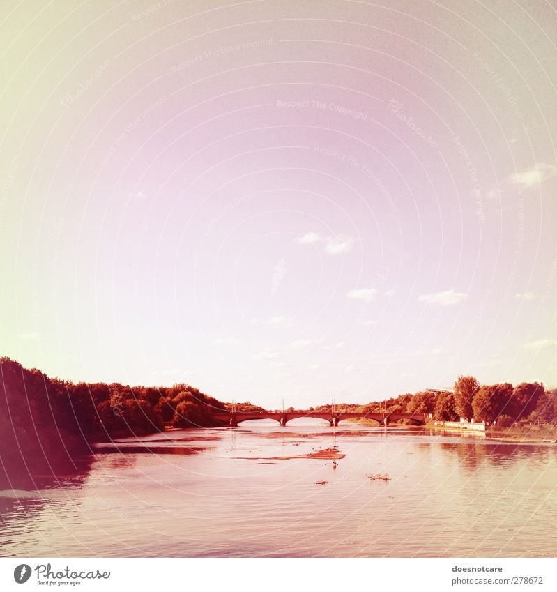 View of a bridge in Leipzig Environment Nature Pink Elster Luppe Aue NP Sky Forest River Park Pallid Colour photo Subdued colour Exterior shot Lomography