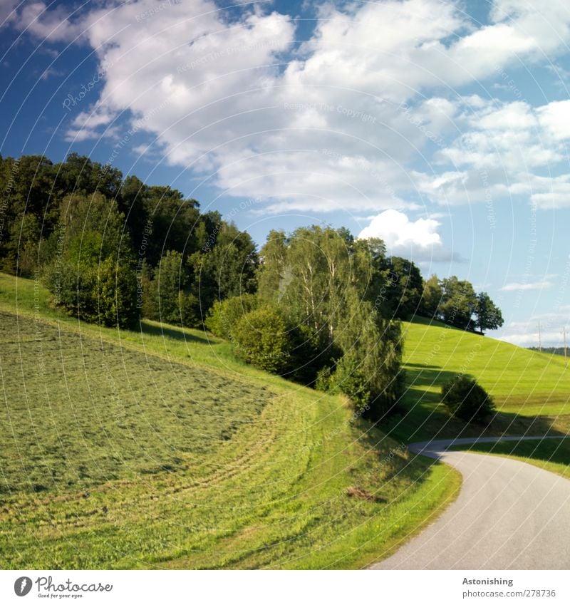 curve Environment Nature Landscape Plant Sky Clouds Summer Weather Beautiful weather Warmth Tree Grass Bushes Meadow Forest Hill Transport Road traffic Street