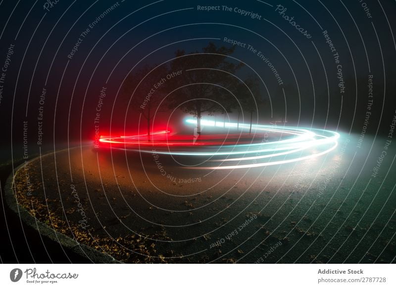 View of abstract shines on road between fog at night Abstract Street Night Fog Vantage point Light Line Bright Lanes & trails Tree Landscape Evening Dark