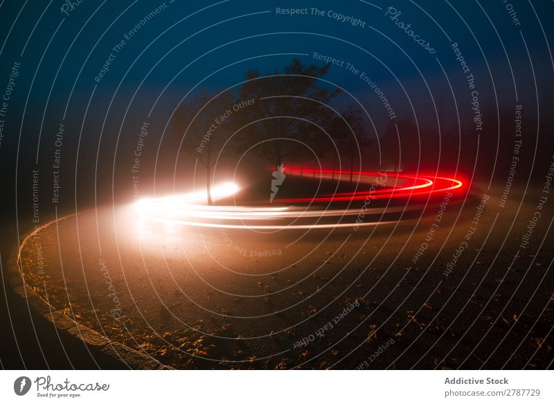 View of abstract shines on road between fog at night Abstract Street Night Fog Vantage point Light Line Bright Lanes & trails Tree Landscape Evening Dark