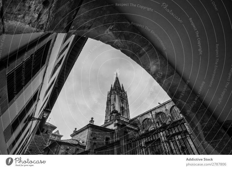 High old tower above buildings Tower Building Construction Stone Height Old Facade Beautiful Tourism Architecture Rock Wall (building) Grunge Cathedral