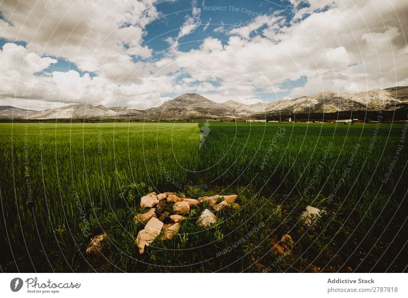 Big field and high hills in cloudy weather Field Hill Weather Clouds Meadow Grass Mountain Sky Blue Green Height Plant big huge Verdant Lawn Conceptual design