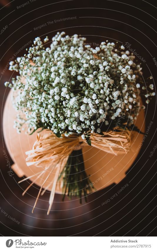 Bouquet of white flowers on stand Flower Stand valentine White bunch Fresh Floral Decoration Table Feasts & Celebrations romantic Blossom Plant Natural decor