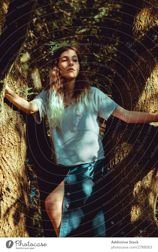 Attractive young woman near tree Woman Tree Park Wood Sunbeam Weather Charming Youth (Young adults) Hippie Easygoing Wear Lady Forest Garden Sunlight Summer