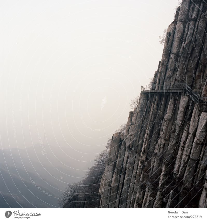 Into the wilderness. Environment Nature Autumn Rock Mountain Canyon Exceptional Dark Authentic Sharp-edged Gigantic Infinity Gloomy Moody Colour photo