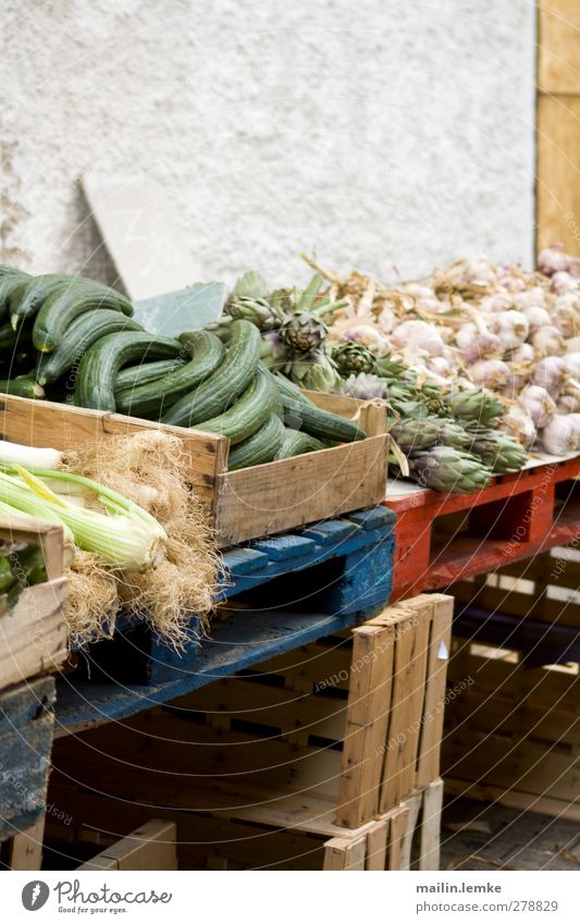 French market Vegetable Fresh Healthy Delicious Original Blue Green Red Cucumber Artichoke Garlic Markets Palett Colour photo Exterior shot Copy Space top Day