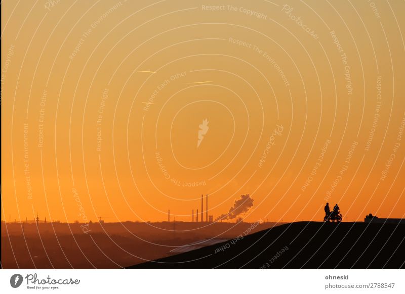 rest Lifestyle Trip Adventure Far-off places Freedom Human being Adults 2 Landscape Elements Air Industrial plant Motorcycle Horizon Mobility Moody Team