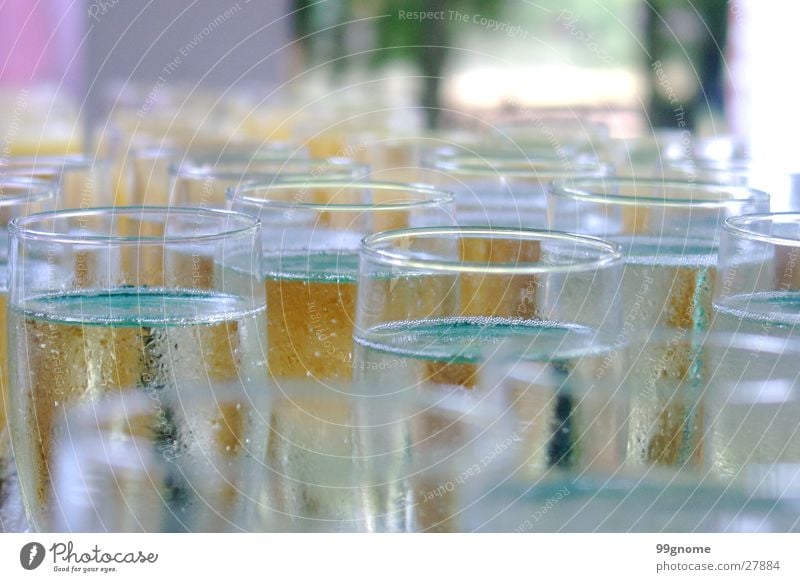 celebration Zoom effect Champagne Sparkling wine Glass Alcoholic drinks Macro (Extreme close-up) Welcome Feasts & Celebrations Bubble Party