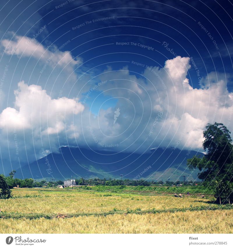 blanket of clouds Landscape Sky Clouds Summer Beautiful weather Nerviness Vietnam Mountain Field Colour photo Exterior shot Copy Space top Day