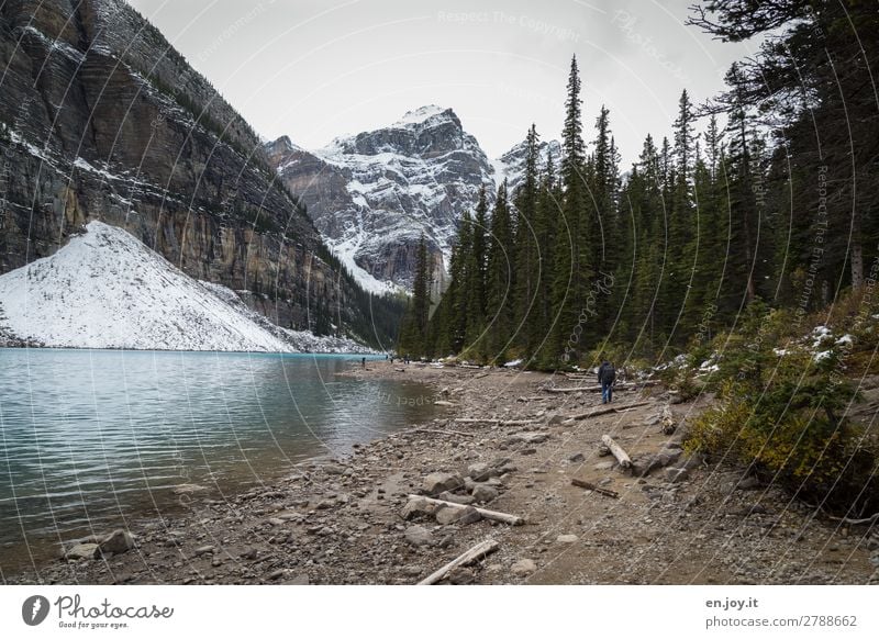 change of perspective Vacation & Travel Tourism Trip Expedition Human being Environment Nature Landscape Sky Autumn Climate Climate change Forest Rock Mountain