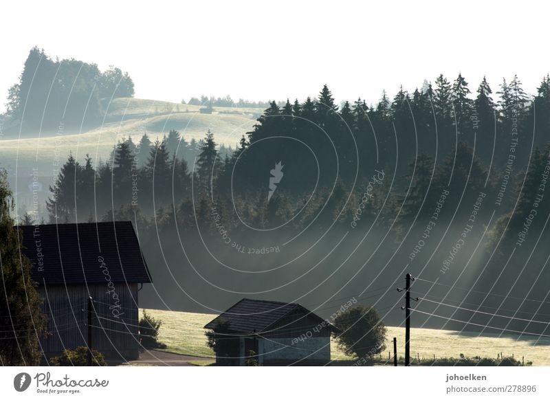 morning-hour Vacation & Travel Mountain Hiking Landscape Sunlight Spring Autumn Beautiful weather Fog Forest Hill Waves Allgäu Village Deserted Farm Observe