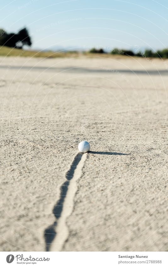 Golf ball in sand bunker Sand Ball Trap Swing plugged Day Sports Leisure and hobbies hazard White Light embed Joy Problem buried Relaxation Warmth Sun enjoyment