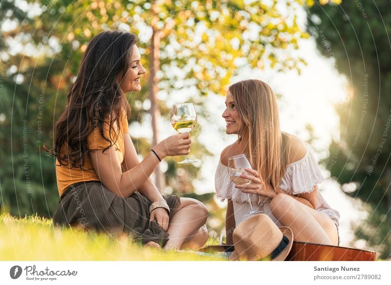 Beautiful women drinking wine in the park. Woman Picnic Friendship Youth (Young adults) Park Happy Wine Glass Drinking Toast clinking Guitar Summer Human being