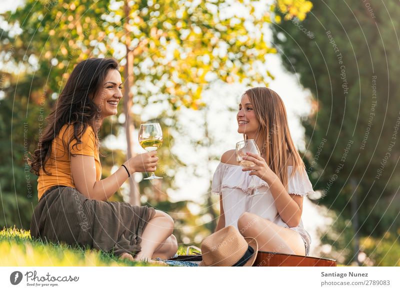 Beautiful women drinking wine in the park. Woman Picnic Friendship Youth (Young adults) Park Happy Wine Glass Drinking Toast clinking Guitar Summer Human being