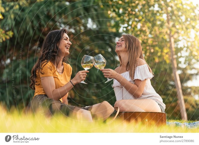 Beautiful women drinking wine in the park. Woman Picnic Friendship Youth (Young adults) Park Happy Wine Glass Drinking Toast clinking Guitar Summer Human being