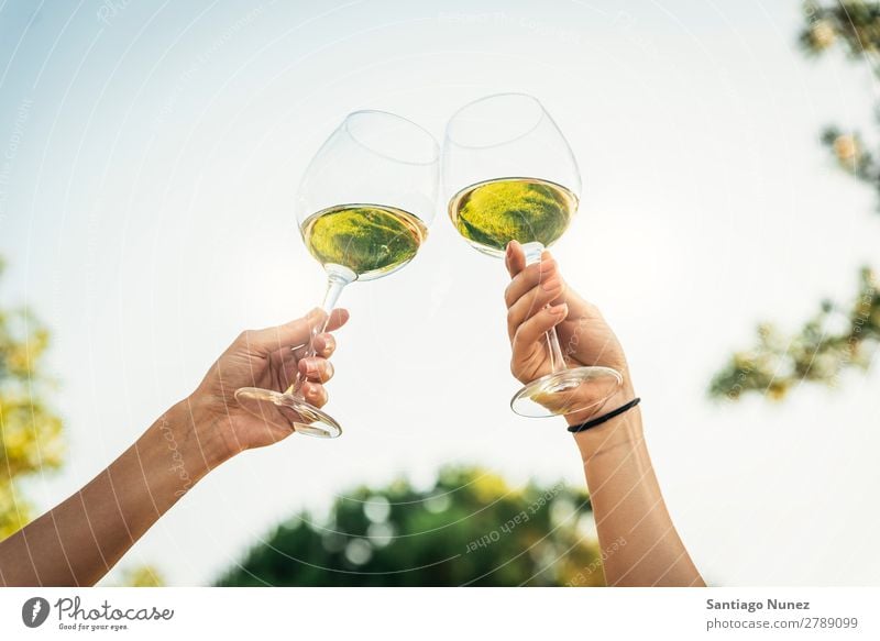 Female friends cheers clinking glasses of white wine. Wine Couple Toast Cheerful Glass Hand Woman Happy Background picture Feasts & Celebrations Happiness New