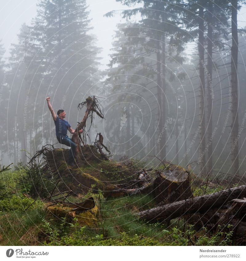 backlight fog Athletic Fitness Sports Equestrian sports Time machine Human being Man Adults Sculpture Nature Bad weather Fog Rain Forest Wood Hunting Dark