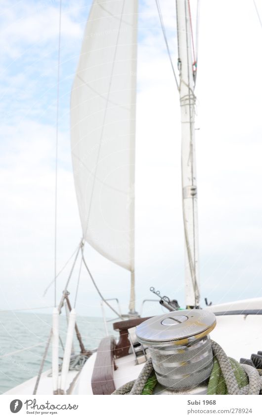 Sun,wind,balaton! Sailing Water Horizon Summer Beautiful weather Lake Sailboat On board Blue Brown Gray Green White Joie de vivre (Vitality) Adventure Joy