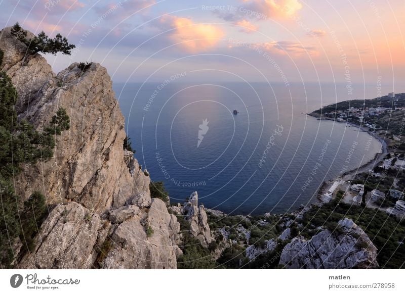 got one's act together Landscape Plant Air Water Sky Clouds Horizon Sunrise Sunset Summer Beautiful weather Tree Rock Peak Coast Bay Ocean Blue White wide