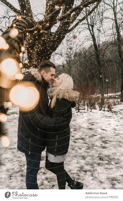 Smiling couple having fun on street near tree with fairy lights Couple Fairy lights Christmas & Advent Street Tree Guy Lady ski jacket Happy Kissing Wood