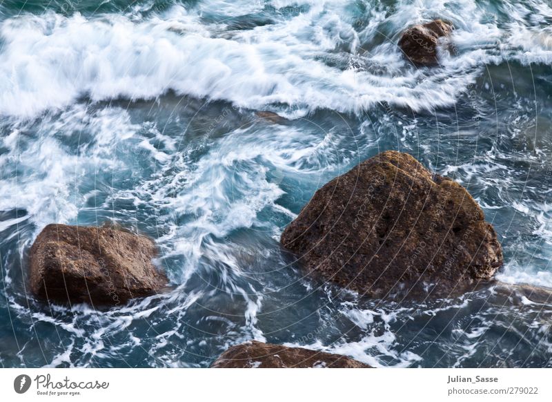 vertebra Environment Water Sunrise Sunset Summer Waves Coast Reef Ocean Island Wet Gran Canaria Rock Foam White crest Blue Agitated Action Wild Stone