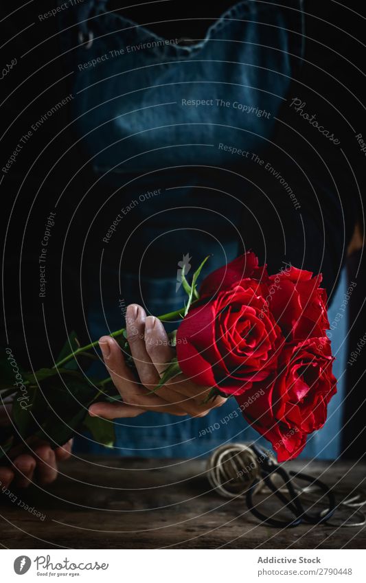 Unrecognizable woman making a bouquet of red roses Hand Rose Flower Woman Background picture Dark Card Blossom leave Red valentine Anniversary