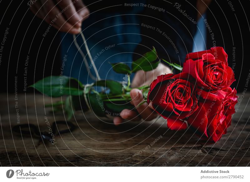 Unrecognizable woman making a bouquet of red roses Hand Rose Flower Woman Background picture Dark Card Blossom leave Red valentine Anniversary