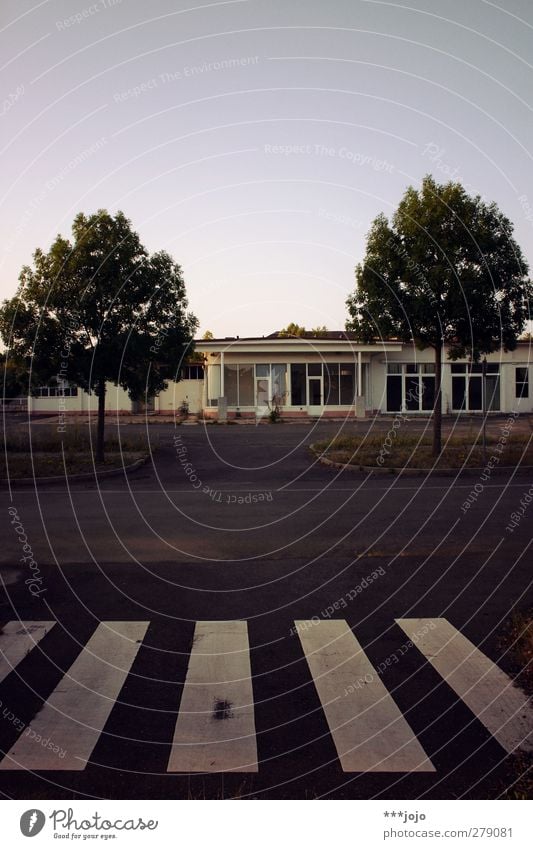 leave ii. Town Retro Deserted Uninhabited Vacancy Zebra crossing Footpath Street Tree Decline Ruin Auto repair shop Store premises Ghost town Unpopulated