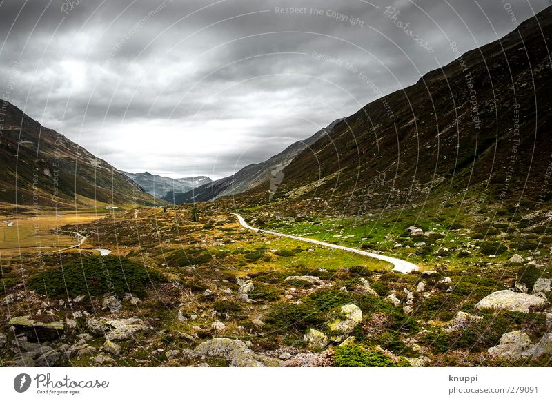 a line in the landscape Environment Nature Landscape Plant Earth Air Water Sky Clouds Storm clouds Sunlight Summer Autumn Bad weather Wind Rain Bushes Moss