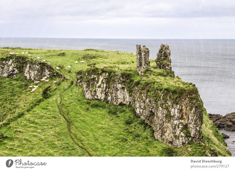 Place of green tones Vacation & Travel Ocean Island Mountain Landscape Sky Clouds Plant Grass Moss Foliage plant Coast Yellow Gray Green Horizon