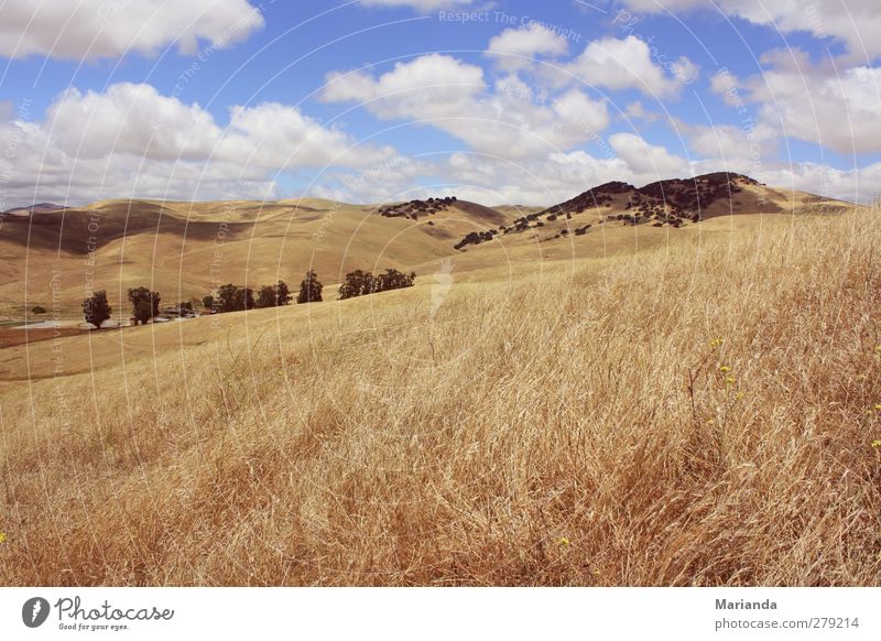 clouds Far-off places Freedom Nature Landscape Earth Air Sky Grass Hill Dream Infinity endless roll past California livermore country Colour photo Exterior shot