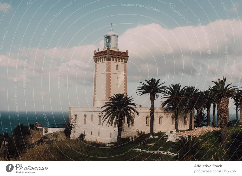 Old beacon near palms and sea Beacon Palm of the hand Ocean Chechaouen Morocco Lighthouse Tropical Tree Sky Clouds Beautiful Plant Coast Water Surface Summer