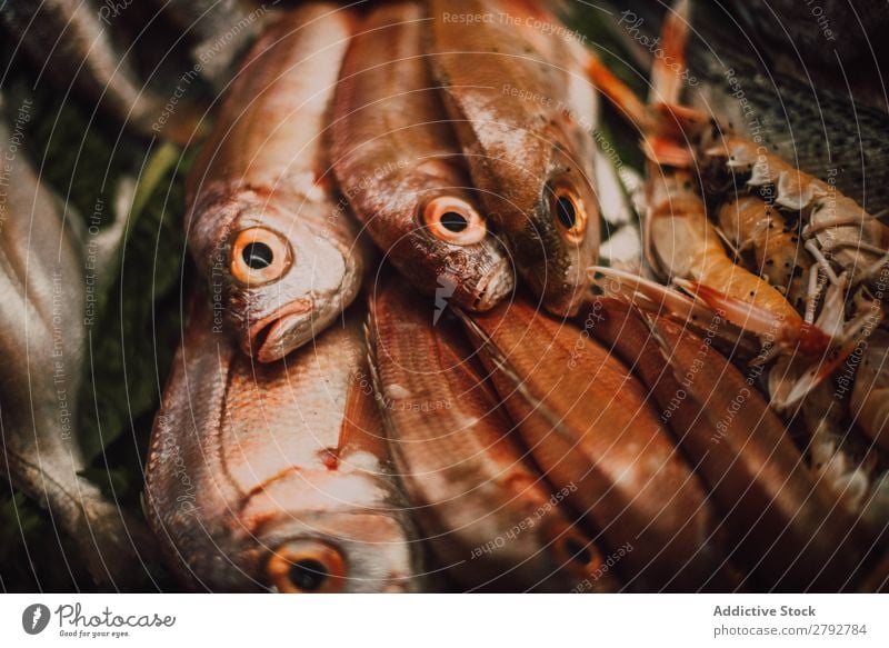 Different fresh fishes on market stall Fish Set Markets Stall Chechaouen Morocco Collection Fresh Window Food Meal Seafood Gourmet Healthy Ingredients Ocean