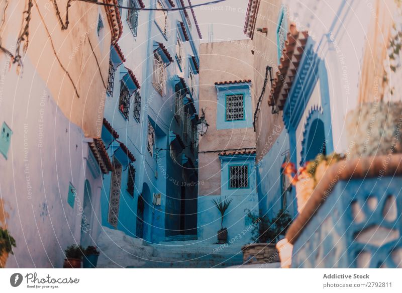 Narrow street with old buildings Street Building Chechaouen Morocco Construction Facade Old Blue Vacation & Travel Sunbeam Day Tourism Beautiful romantic