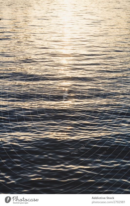 Waves on water surface and sunshine Water Surface Splash Netherlands Ocean Sunbeam Weather waving Natural Nature Liquid Sunlight Summer Europe Wet Rough Wild