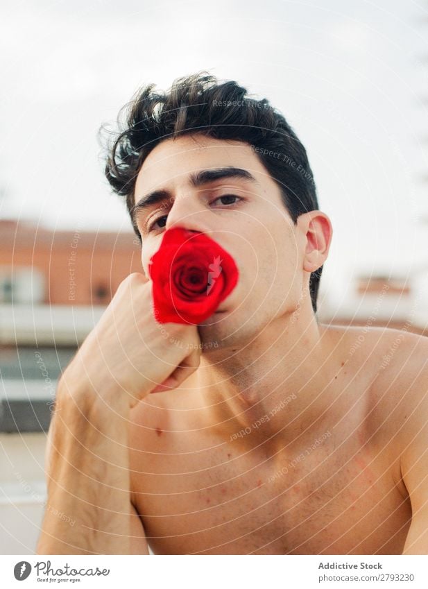 Young man with red flowers Man Flower Fresh Red Youth (Young adults) Rose Brunette Guy shirtless Surprise Gift Indicate romantic Aromatic Feasts & Celebrations