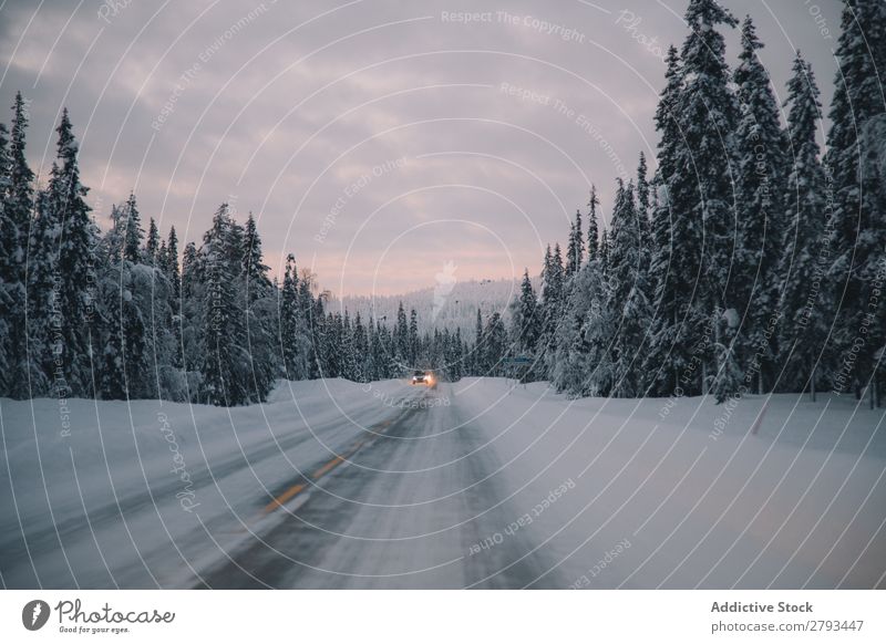 Car on snowy road near forest Street Winter Forest Landscape The Arctic Snow Ride Sky Clouds Weather Deserted Tree Conifer Asphalt Lanes & trails way