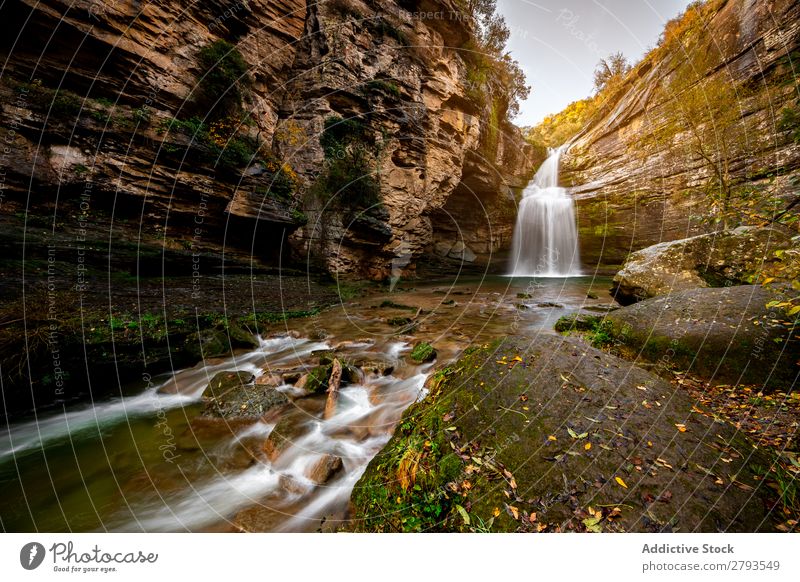 Waterfall in the middle of the mountain Forest Nature River Landscape Park Autumn Vacation & Travel Green Beautiful Background picture Mountain Stream scenery