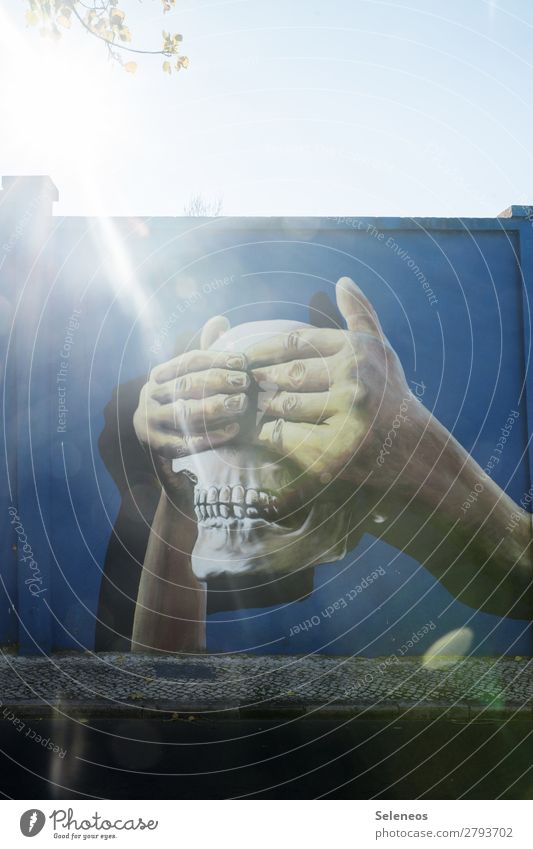 see nothing Graffiti Wall (building) Art Hand hands Death's head skull dead Sun Back-light Sunbeam out Exterior shot Facade Wall (barrier) Colour photo