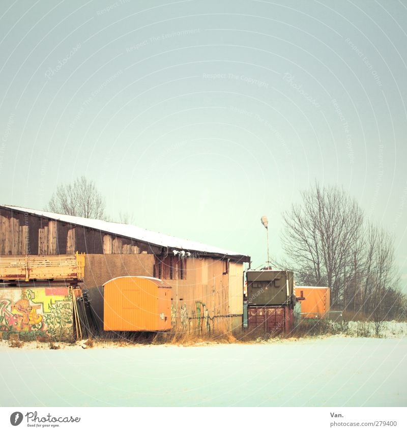 Visiting Trostlosistan Cloudless sky Snow Tree Village House (Residential Structure) Building Hall Roof Blue Container Graffiti Colour photo Subdued colour