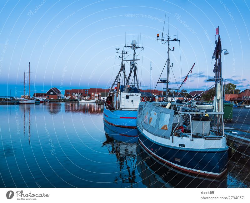 View of the harbour of Klintholm Havn in Denmark Relaxation Vacation & Travel Tourism House (Residential Structure) Nature Landscape Water Clouds Coast