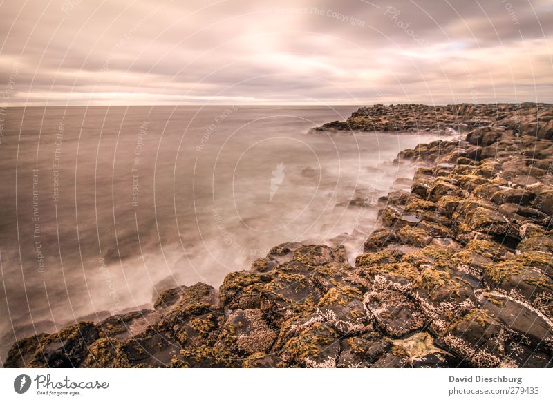 Moments for the soul Relaxation Calm Meditation Vacation & Travel Nature Sunlight Bad weather Moss Rock Waves Coast Ocean Brown Yellow Violet Black White