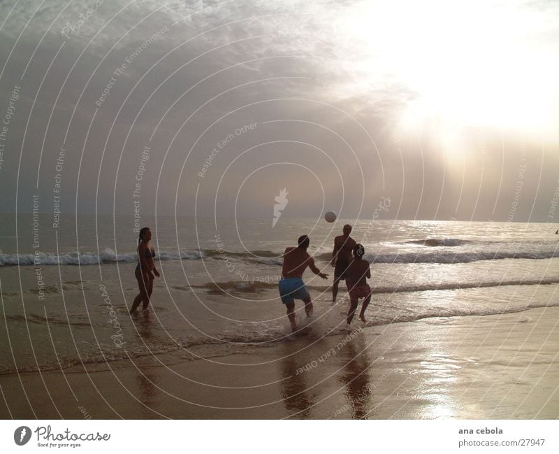 Beach 2 Sunset Nature playing with ball Water Sand