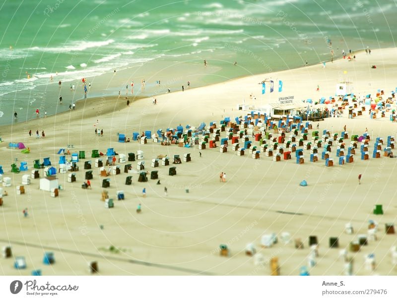 dwarf beach Wellness Life Swimming & Bathing Summer Summer vacation Sunbathing Beach Ocean Human being Crowd of people Sand Beautiful weather Warmth Coast