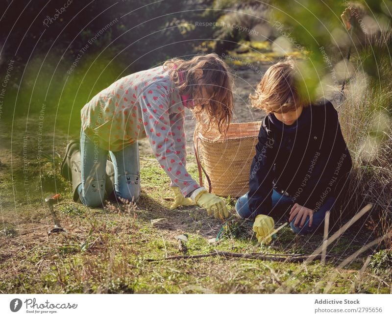 Boy and girl picking up garbage from ground Trash container Ground Youth (Young adults) Park litter picker Container cleaning up Boy (child) Girl Environment