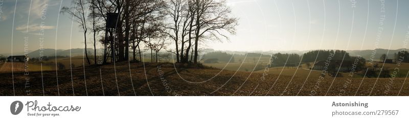 Hochstand (Panorama) Environment Nature Landscape Plant Earth Air Sky Clouds Summer Weather Beautiful weather Warmth Tree Bushes Field Forest Hill